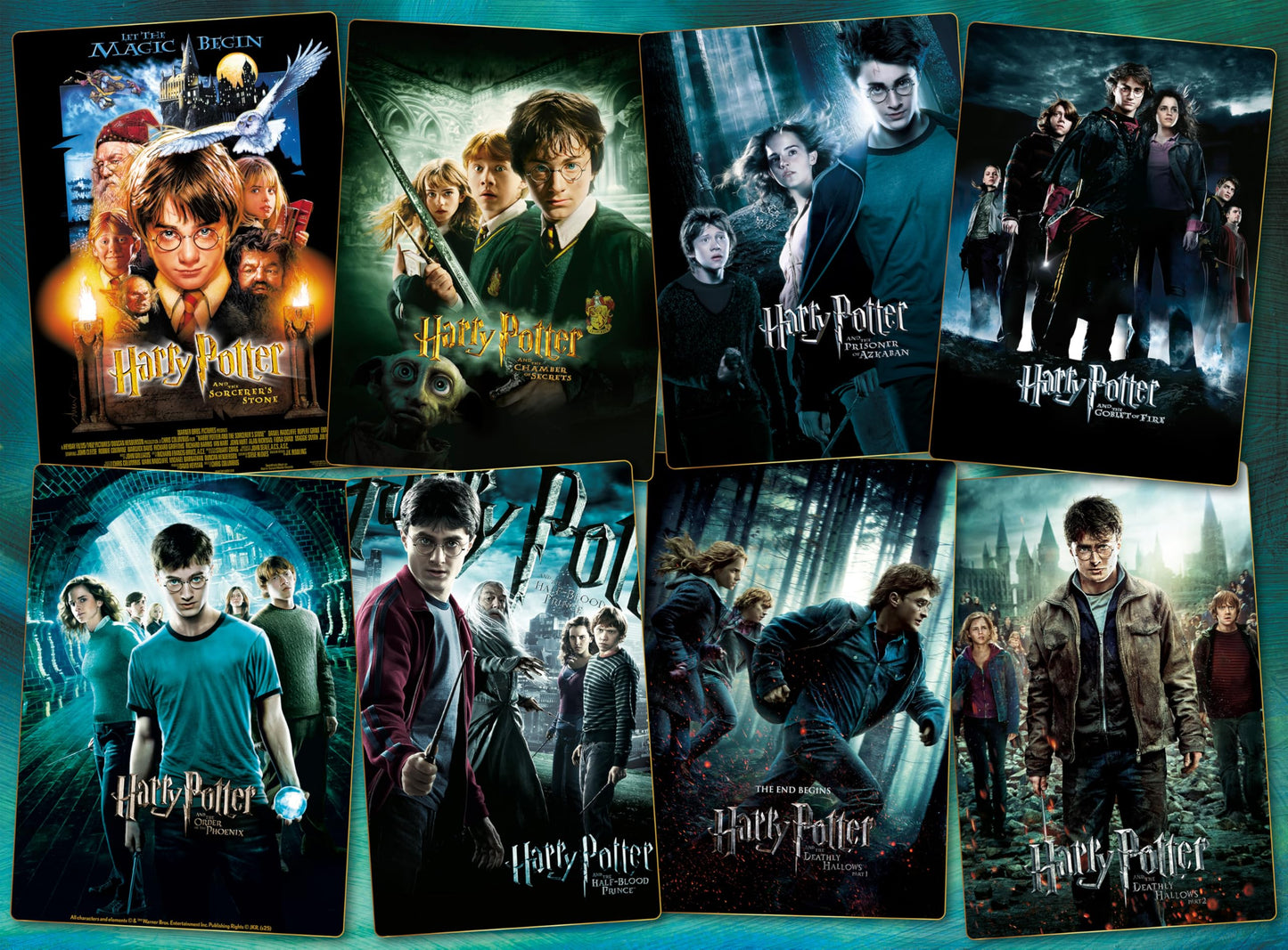 Ceaco - Harry Potter Posters - 1000 Piece Jigsaw Puzzle for Adults