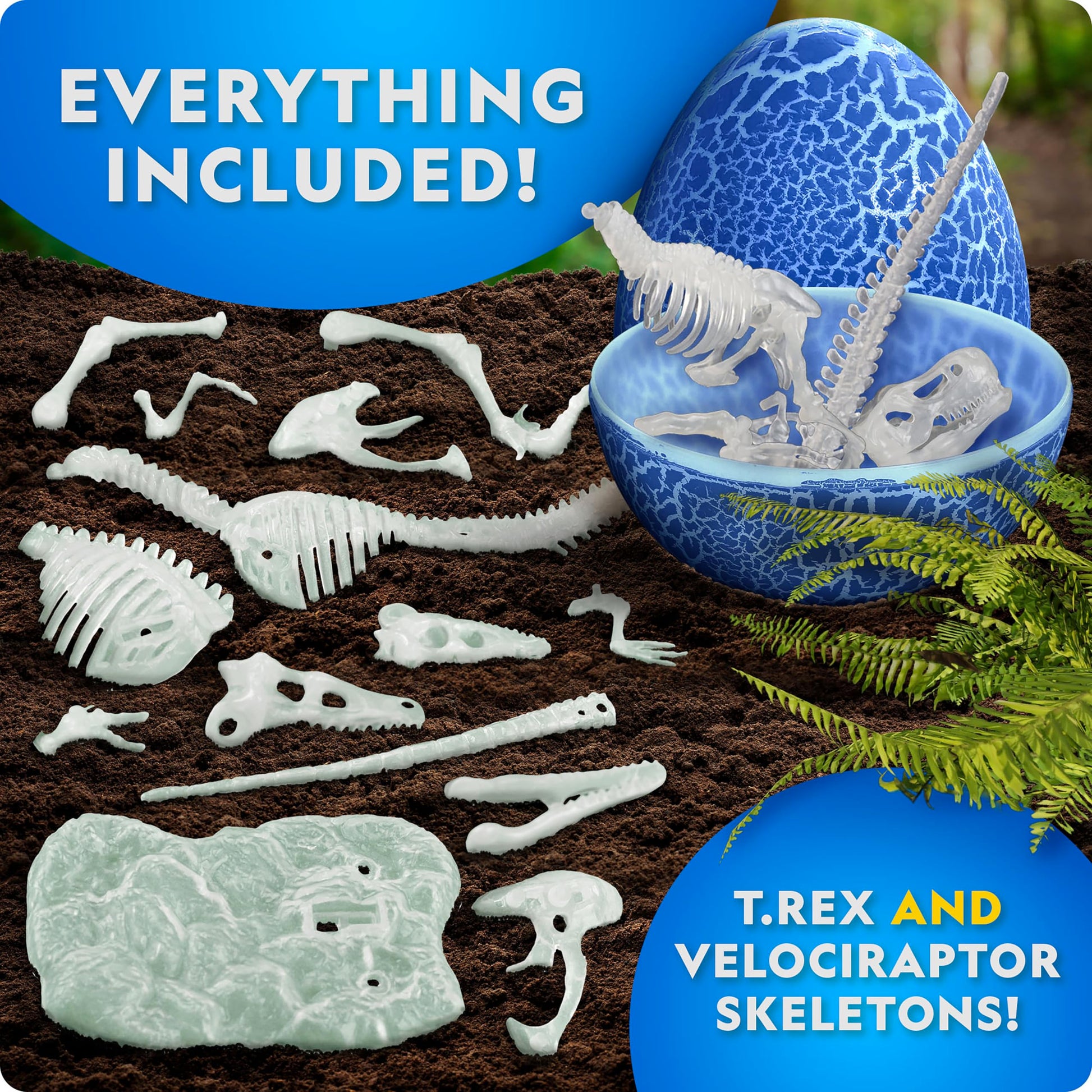 National Geographic Glow-in-the-Dark Dinosaur Skeleton Model Building Kit