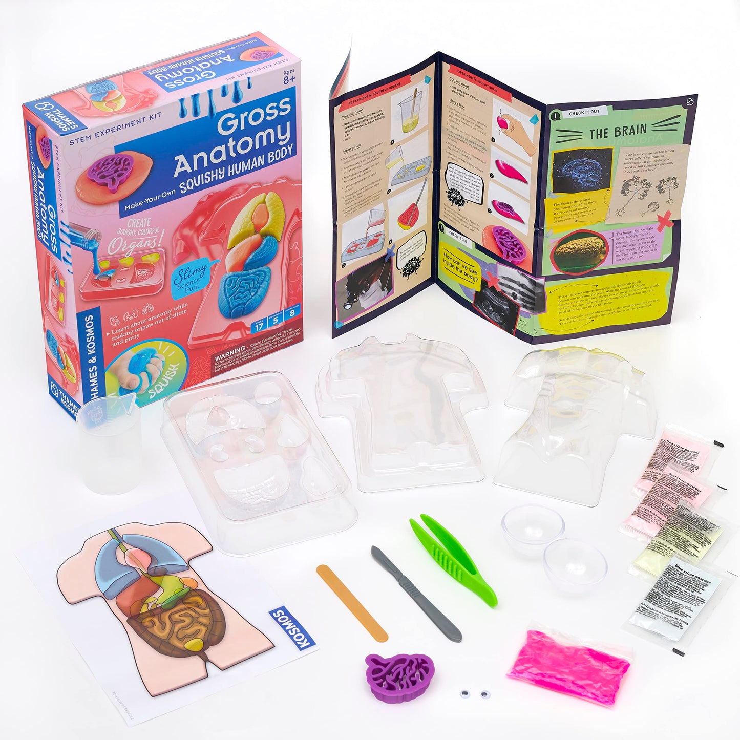 Thames & Kosmos Gross Anatomy: Make-Your-Own Squishy Human Body STEM Experiment Kit | Make Colorful Models of Human Organs with Slime & Putty | Fun