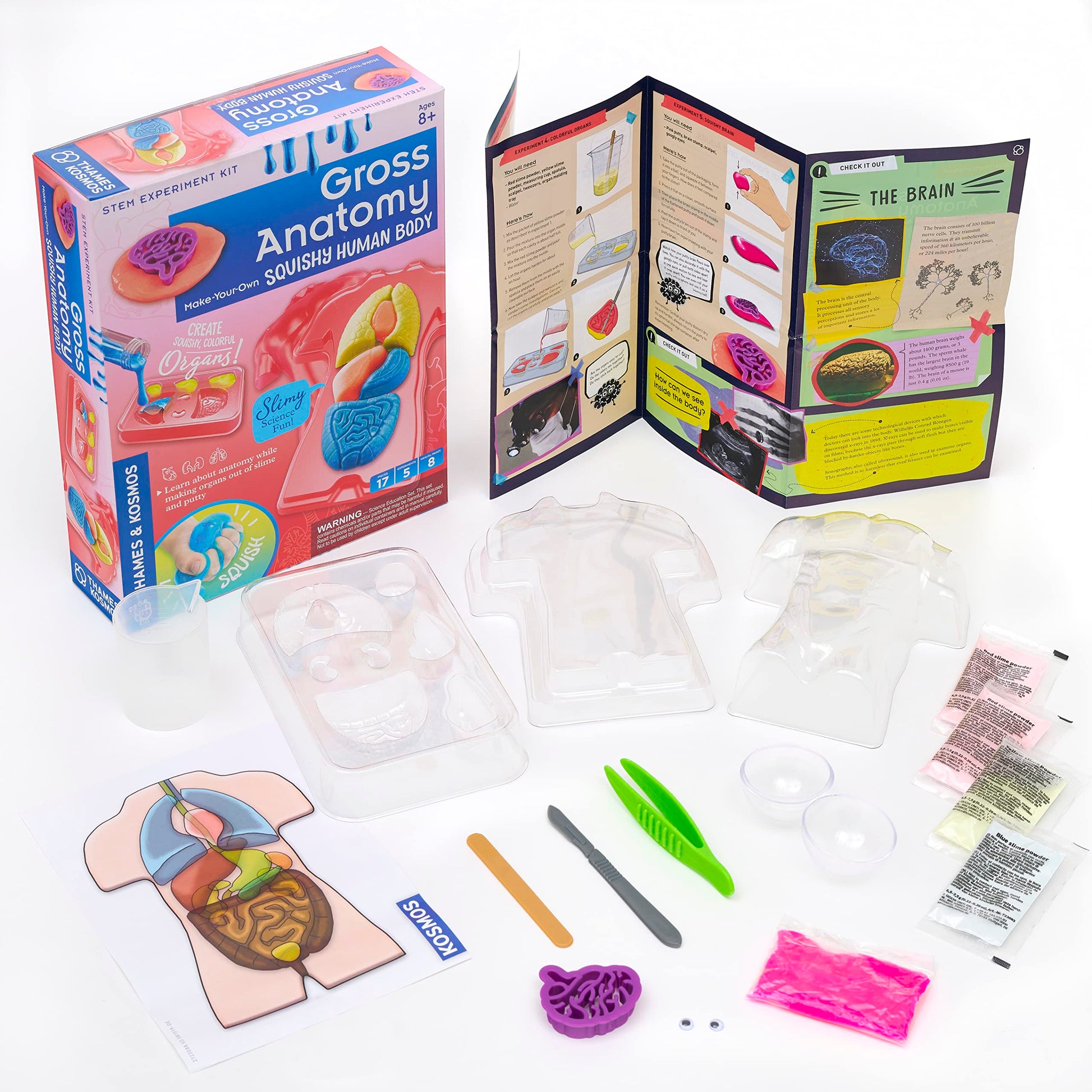 Thames & Kosmos Gross Anatomy: Make-Your-Own Squishy Human Body STEM Experiment Kit | Make Colorful Models of Human Organs with Slime & Putty | Fun