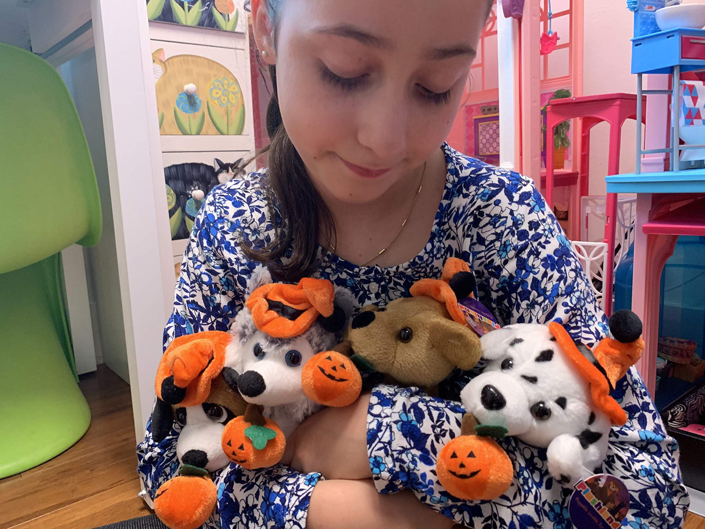 Plushland Halloween Pawpals 8 inches Puppy Dog Plush Stuffed Toy Comes with Hat and Halloween Jack O Lantern - Pumpkin for Kids on This Holiday