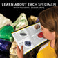 National Geographic Rock Collection Box with 15 Gemstones and Crystals