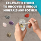 MindWare Dig It Up! Stone Fossil Dig Kits for Kids