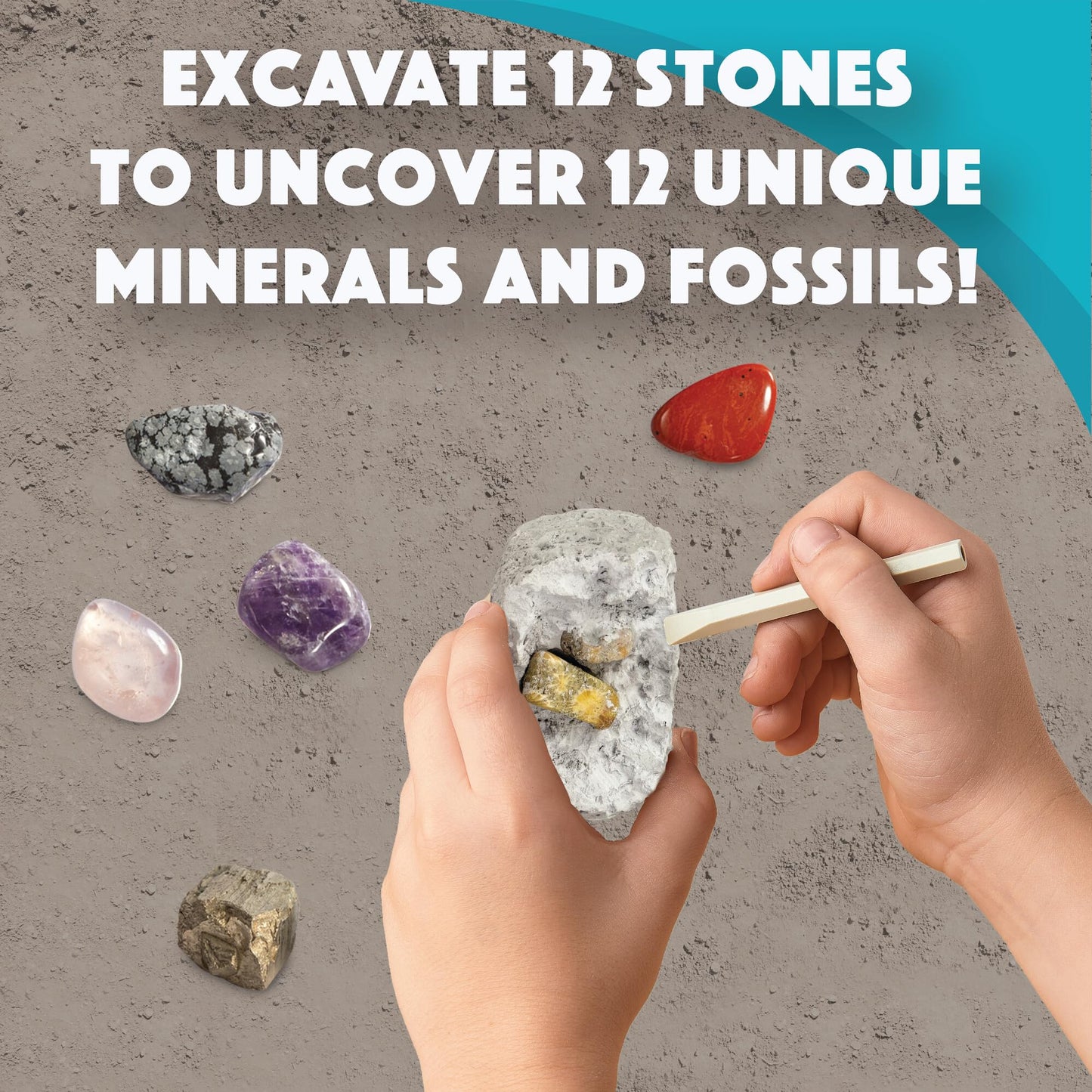 MindWare Dig It Up! Stone Fossil Dig Kits for Kids