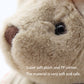 suepcuddly Jointed Teddy Bear Stuffed Animals Small Soft Plush Toy with Cloth (Pink Skirt 13Inch)