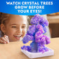 National Geographic Crystal Growing Kit with 5 Unique Activities