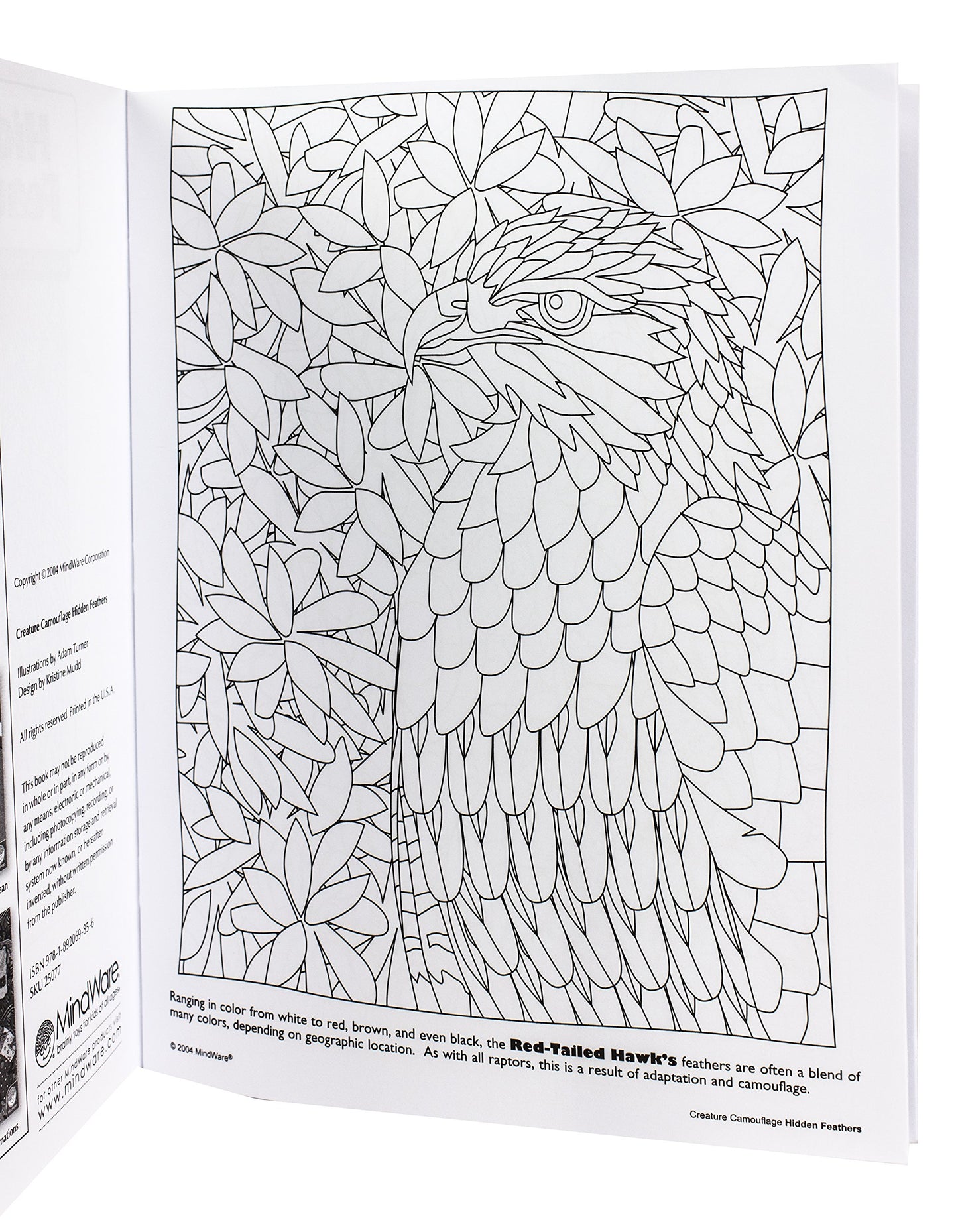 Mindware Hidden Feathers: Creature Camouflage