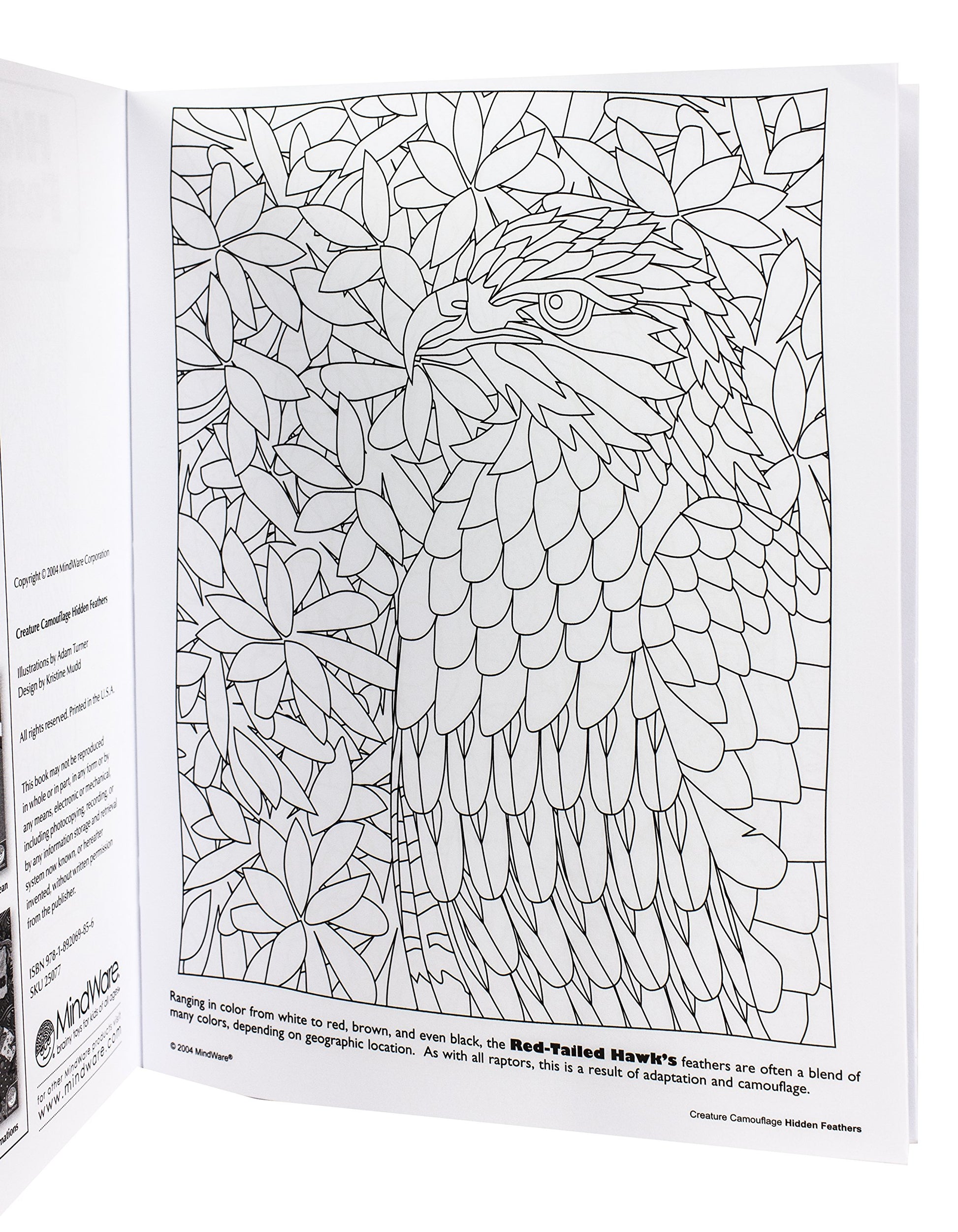 Mindware Hidden Feathers: Creature Camouflage
