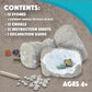 MindWare Dig It Up! Stone Fossil Dig Kits for Kids
