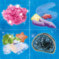 Thames & Kosmos Crystal Growing Science Kit Grow Over A Dozen Crystals with 15 Experiments, Includes Storage Case & 32 Page Color Laboratory Manual