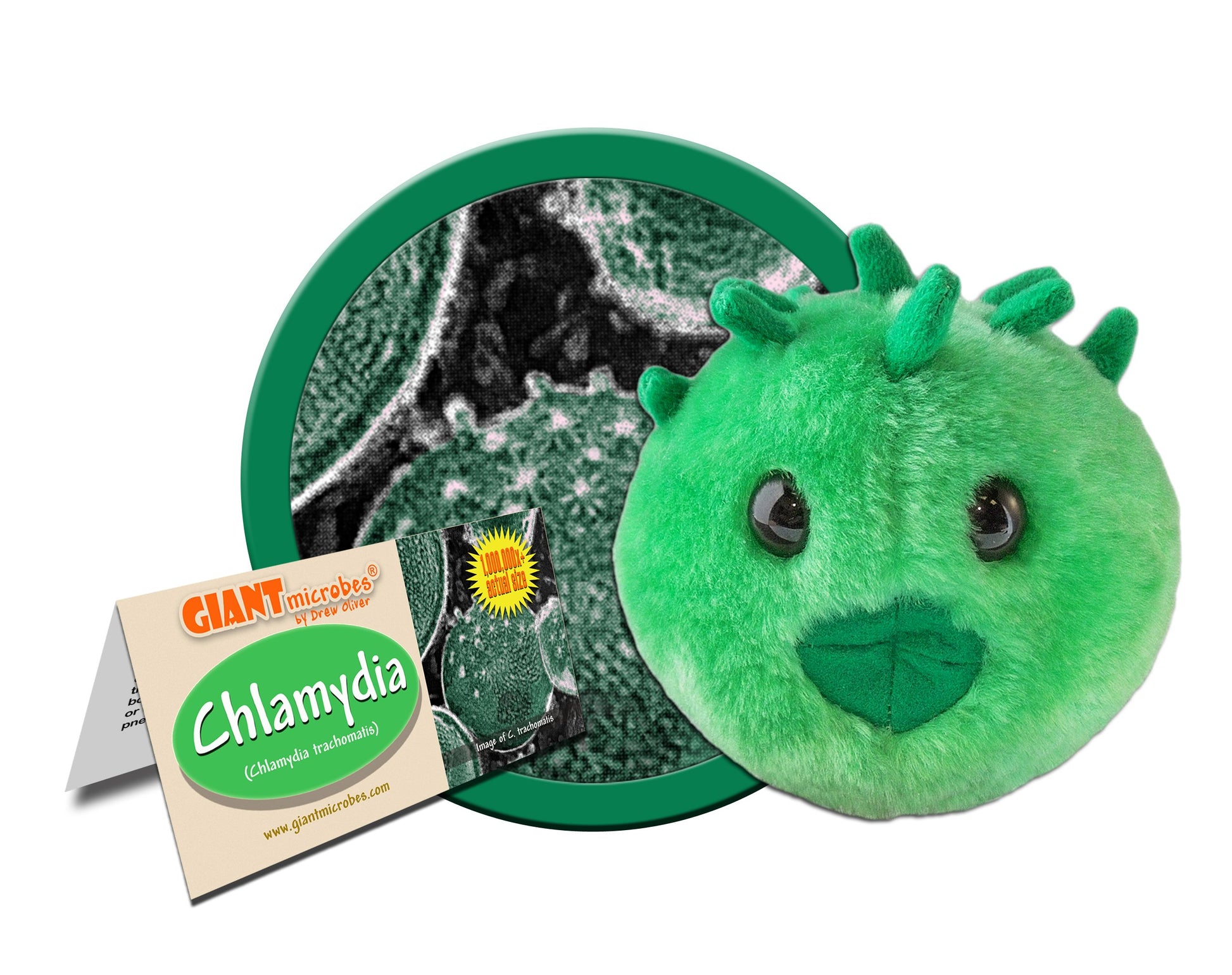 GIANTmicrobes Chlamydia Plush, STIs, STDs, Medical Gag Gifts Funny, OBGYN Gifts for Doctors, Infection Prevention Gifts, Infection Control Nurse Gifts