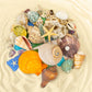 Beachcomber Treasure Hunt - Beach Paydirt with Shells, Sea Glass, Pearl, Fossils & Crystals