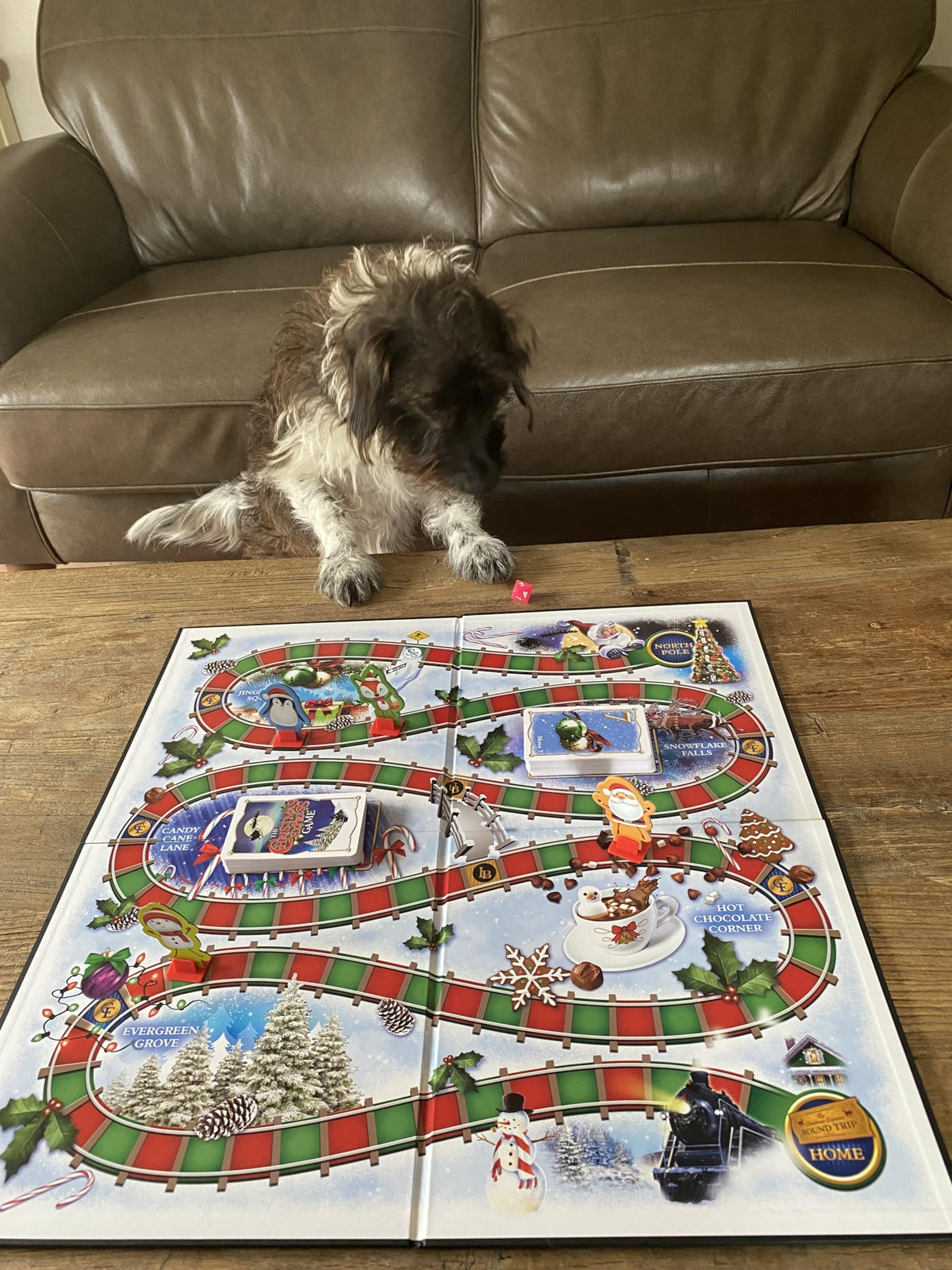 Dog-Opoly Board Game - This Property Trading Family Game is a Tail-waggin Good Time! - for 2 to 6 Players Ages 8 and up