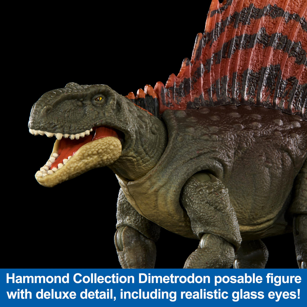 Mattel Jurassic World Dominion Hammond Collection Dinosaur Action Figure, Dimetrodon Dino Toy with Articulation & Large Jaw, 7.6-inch