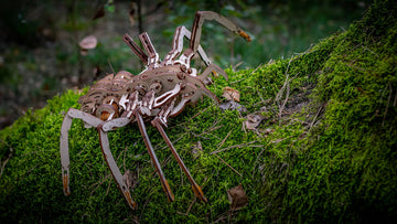 EWA Eco-Wood-Art Spider 3D Wooden Puzzle, Mechanical Model Kit, 293 Pieces, Ages 14+, 9.45 x 13.78 Inches, Wood