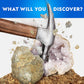 National Geographic Break Open 15 Premium Geodes Science Kit for Kids