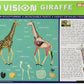 Famemaster 4D Vision Giraffe Anatomy Model, 14.5 inches