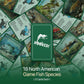 HOOKED! The Ultimate Fishing Card Game - 3 Ways to Play Go Fish, Learn Real Fish Facts - Fun Family Game for Kids & Adults - Great Gift for Anglers
