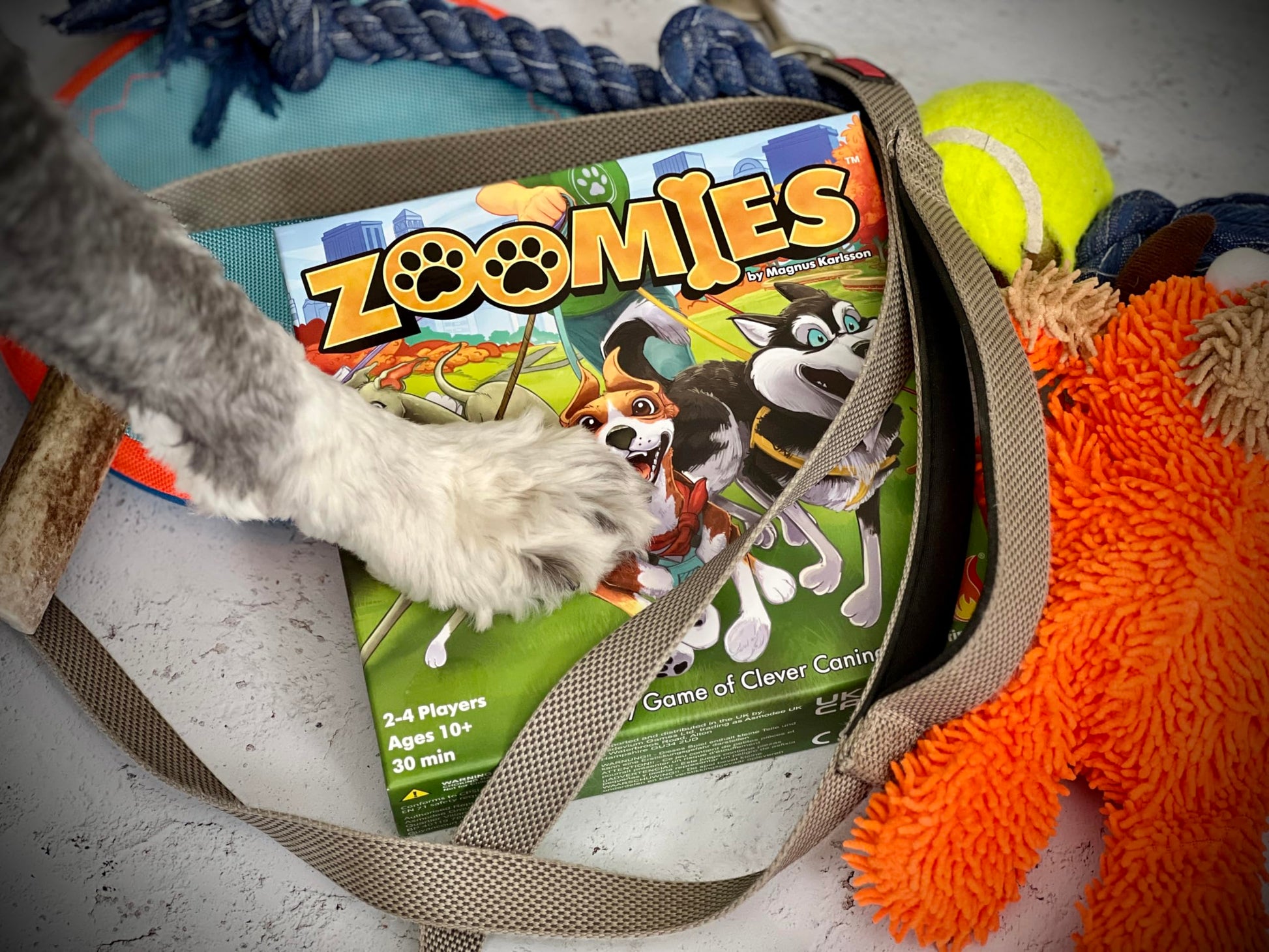 Fireside Games Zoomies - Fast-Paced Dog Walking Family Card Board Game Fun for All Ages Quick Play 2 to 4 Players Ages 10+