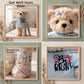 SHSEEN Broken Leg Teddy Bear, 10 Inch Get Well Soon Plush with Crutch