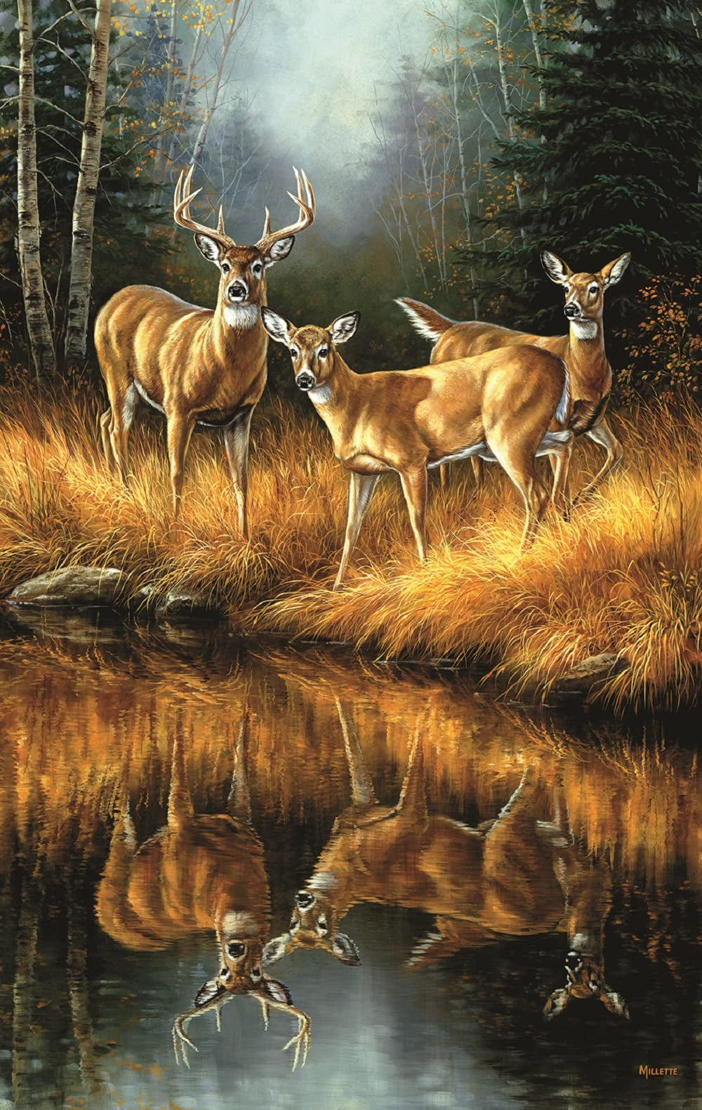 SUNSOUT INC - Whitetail Reflections - 550 pc Jigsaw Puzzle by Artist: Rosemary Millette - Finished Size 15" x 24" - MPN# 30923