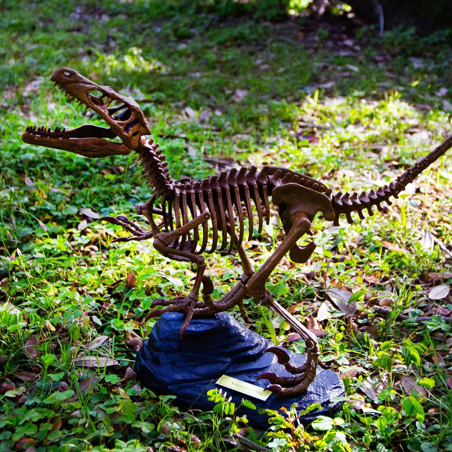 Geoworld Velociraptor Skeleton Model Kit - Scale Replica Velociraptor Skeleton - Build, Learn & Play STEM Toy for Kids Ages 6+