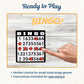WE Games Retro Bingo Game Set with Metal Rotary Cage, Deluxe Wooden Master Board, Wood Balls, Party Games for Families, Fairs, and Churches