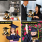 DolliBu Squat Tiger Graduation Plush Toy - Soft Tiger Plush Graduation Stuffed Animal Dress Up with Gown and Cap with Tassel Outfit - Gift