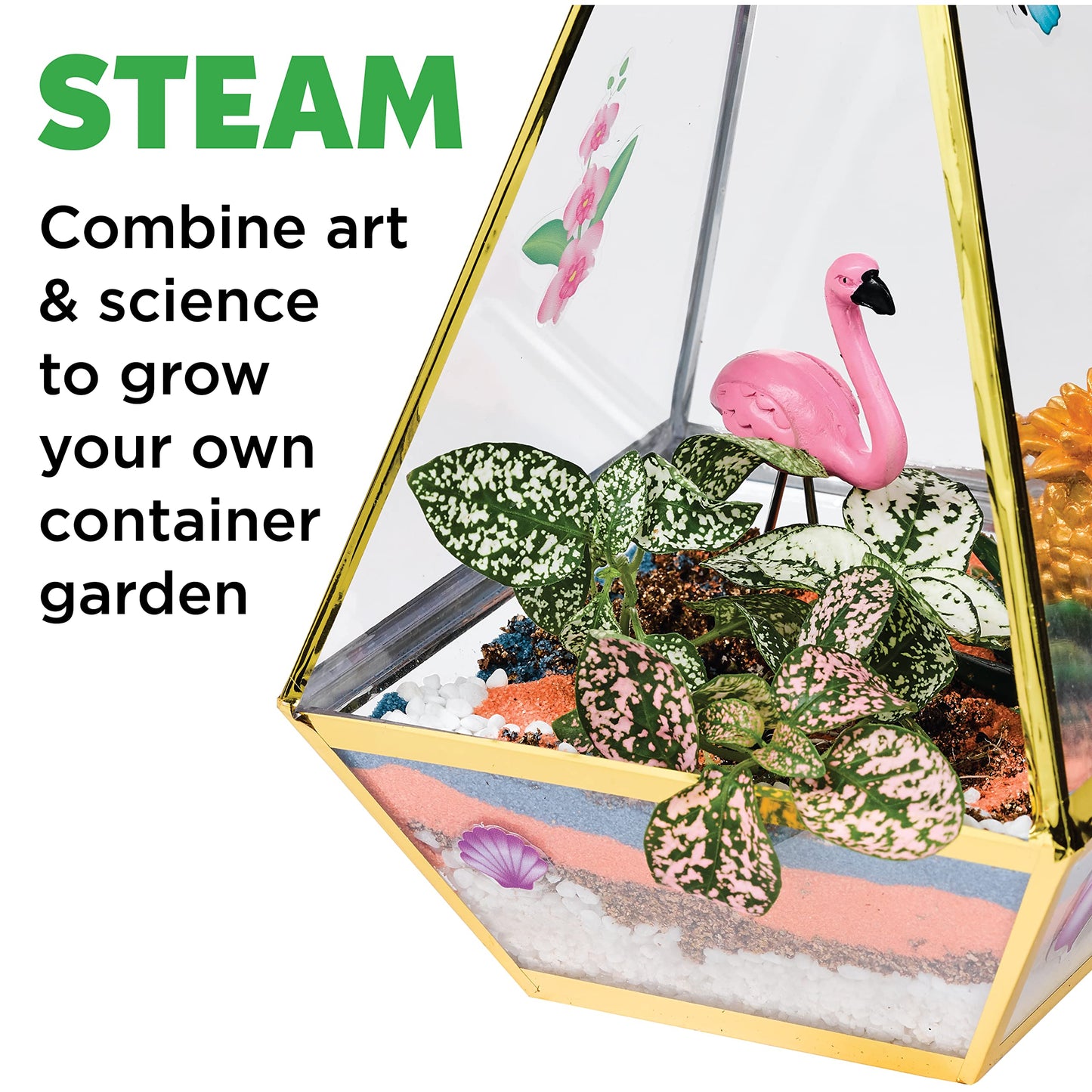 Creativity for Kids Tropical Terrarium Craft Kit - Kids Terrarium Kit, STEAM Activity (Ages 7+)