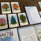 Renegade Game Studios Arboretum Card Game: Strategy Game for 2-4 Players, Ages 8 & Up, 30 Minute Garden Board Game