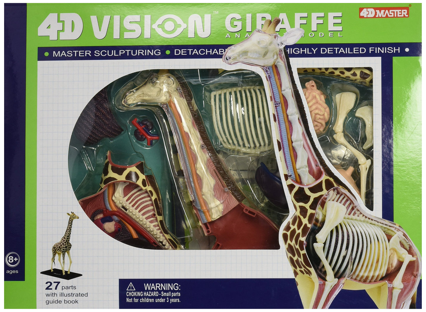 Famemaster 4D Vision Giraffe Anatomy Model, 14.5 inches