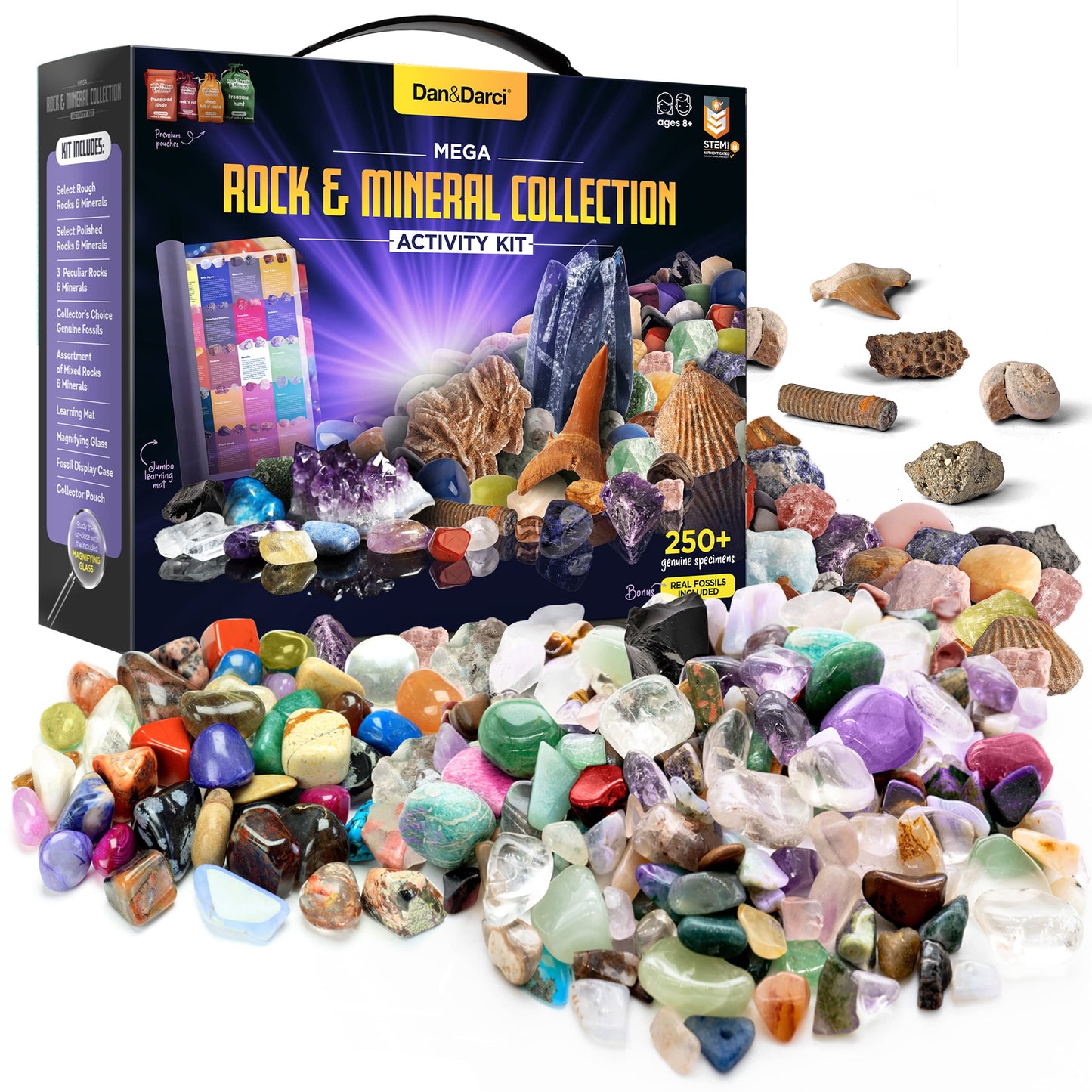 Dan&Darci Rock Collection for Kids - Includes 250+ Bulk Rocks, Gemstones & Crystals + Genuine Fossils and Minerals - 2 Lbs. - Geology Earth Science