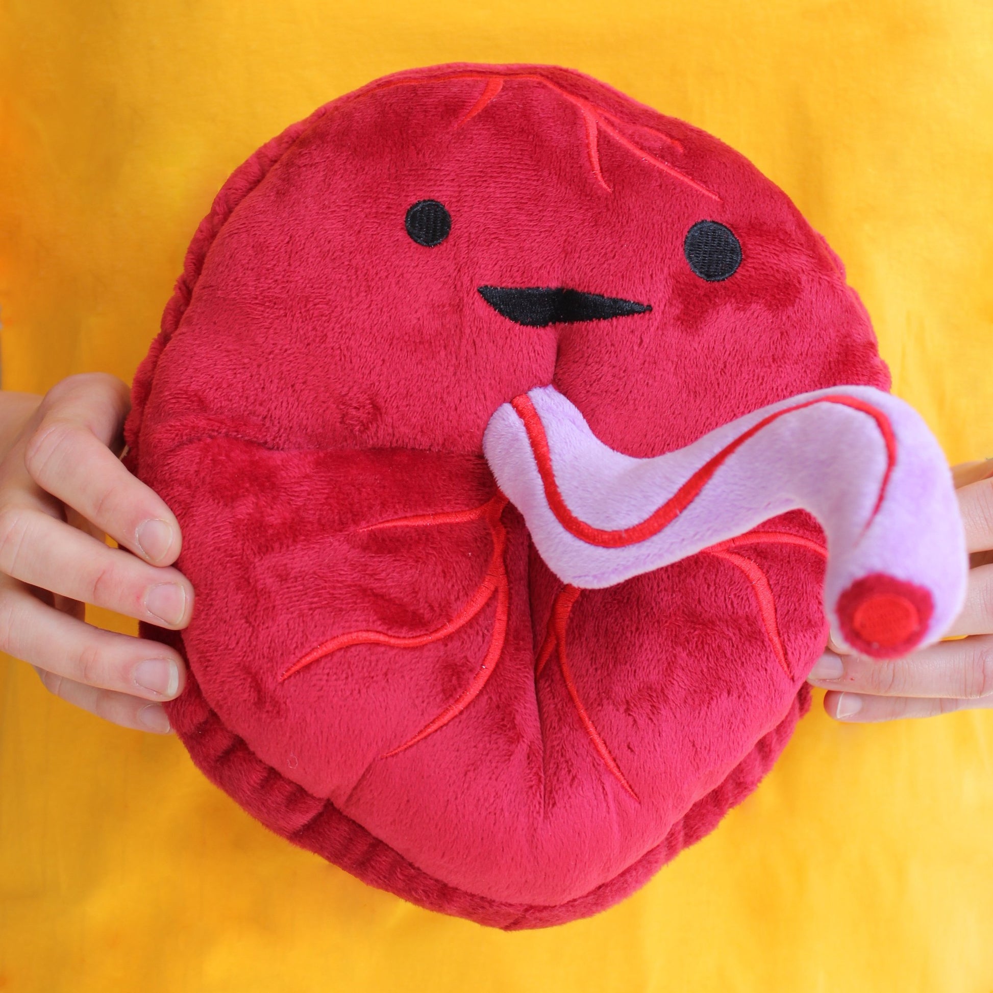 I Heart Guts Placenta Plush - Cute Educational Organ Toy for Childbirth & Postpartum - Funny Get Well Recovery Gift for Labor Delivery Nurse Patients