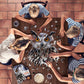 Madd Capp Puzzles - I AM Owl - 300 Pieces - Animal Shaped Jigsaw Puzzle