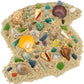 Beachcomber Treasure Hunt - Beach Paydirt with Shells, Sea Glass, Pearl, Fossils & Crystals