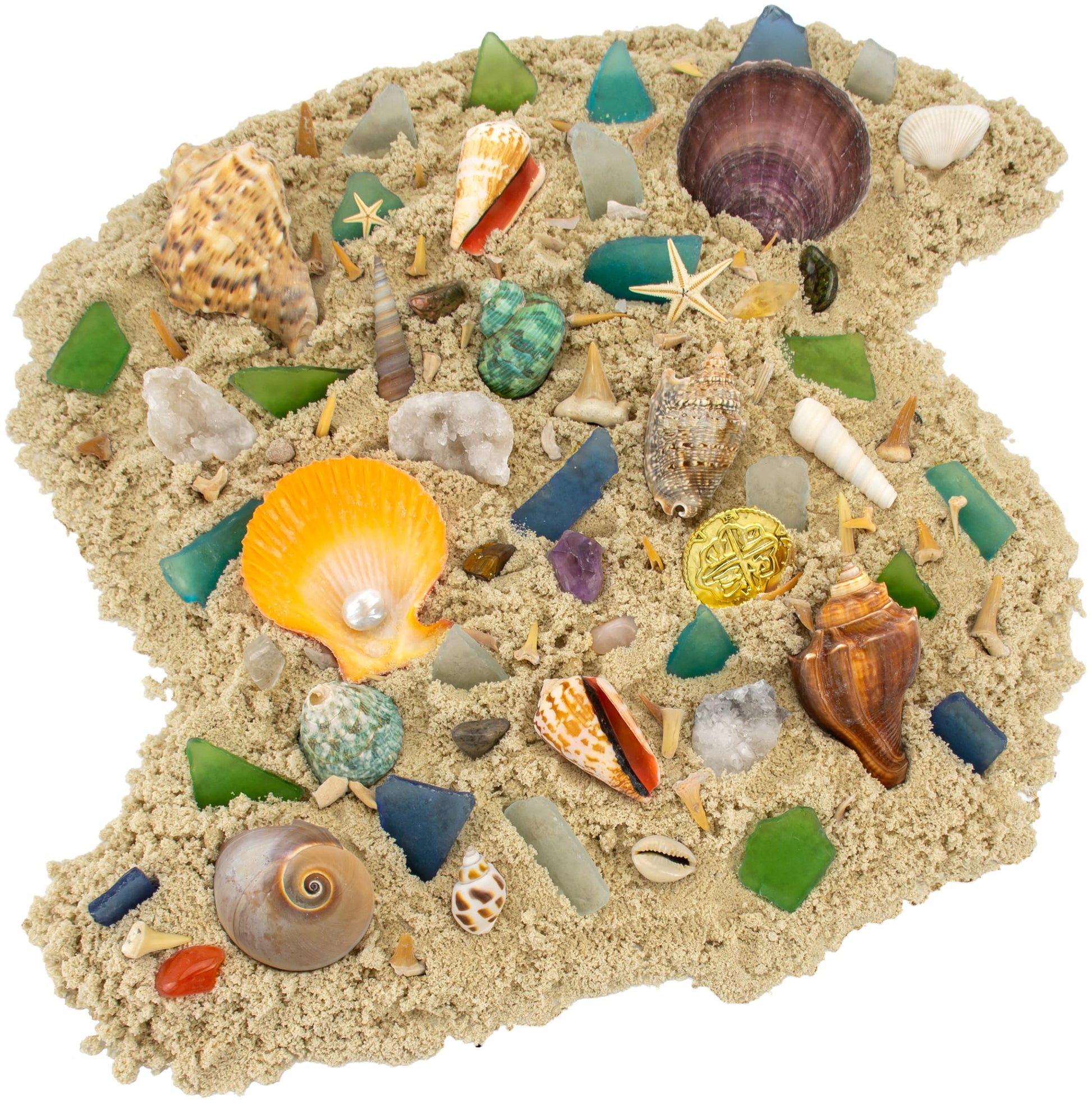 Beachcomber Treasure Hunt - Beach Paydirt with Shells, Sea Glass, Pearl, Fossils & Crystals