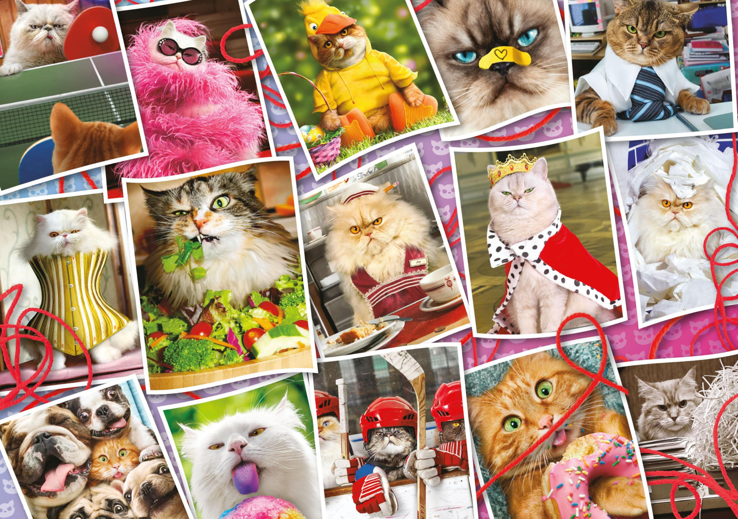 Ceaco - Cranky Kitties Collage - 500 Piece Jigsaw Puzzle for Adults
