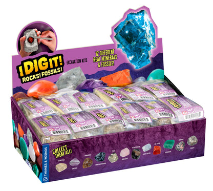 Thames & Kosmos I Dig It! Rocks & Fossils Excavation Gift Set | 24 Excavation Kits w/Mineral & Fossil Specimens | Party Favors, Stocking Stuffer