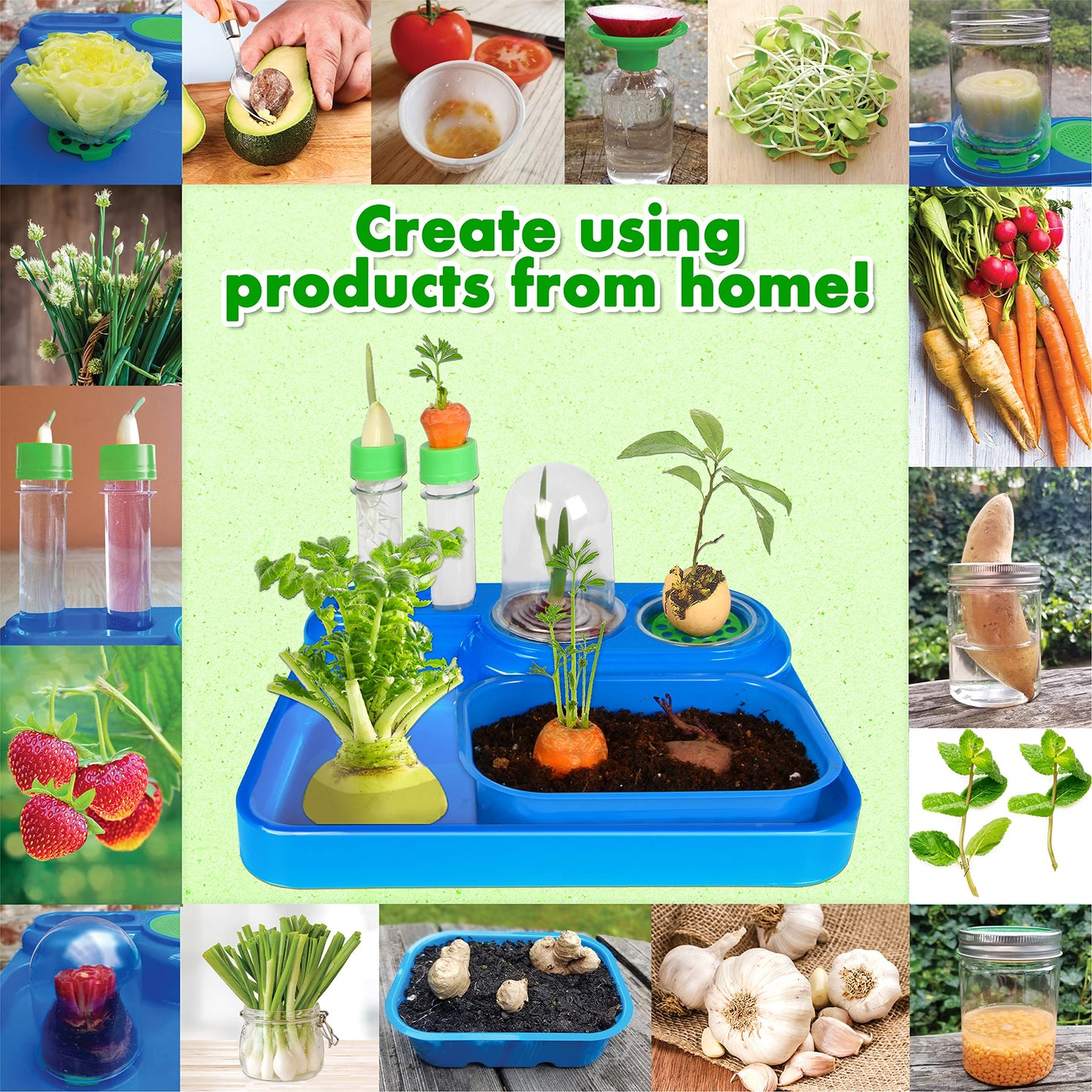 ReGrow Science Kit for Kids 8+ - Replant Simple Ingredients to Generate New Plants! 15+ Experiments - 12 Tools Included - Growing Kits for Kids Boys