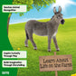 Schleich Farm World Realistic Donkey Animal Figurine - Highly Detailed and Durable Farm Animal Toy, Fun and Educational Play for Boys and Girls, Gift