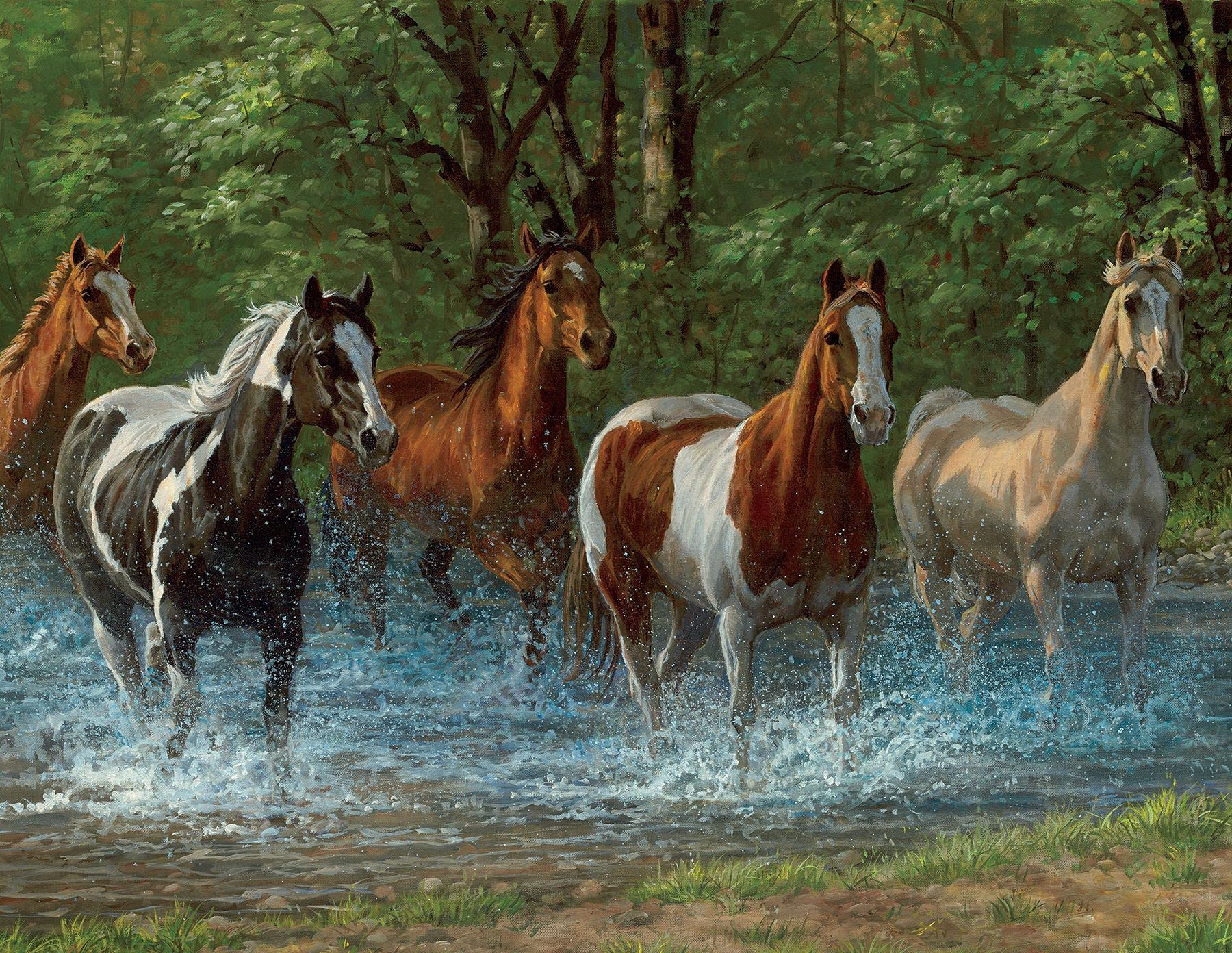 Springbok 500 Piece Jigsaw Puzzle Summer Creek Multi, Large/18 x 23.5"