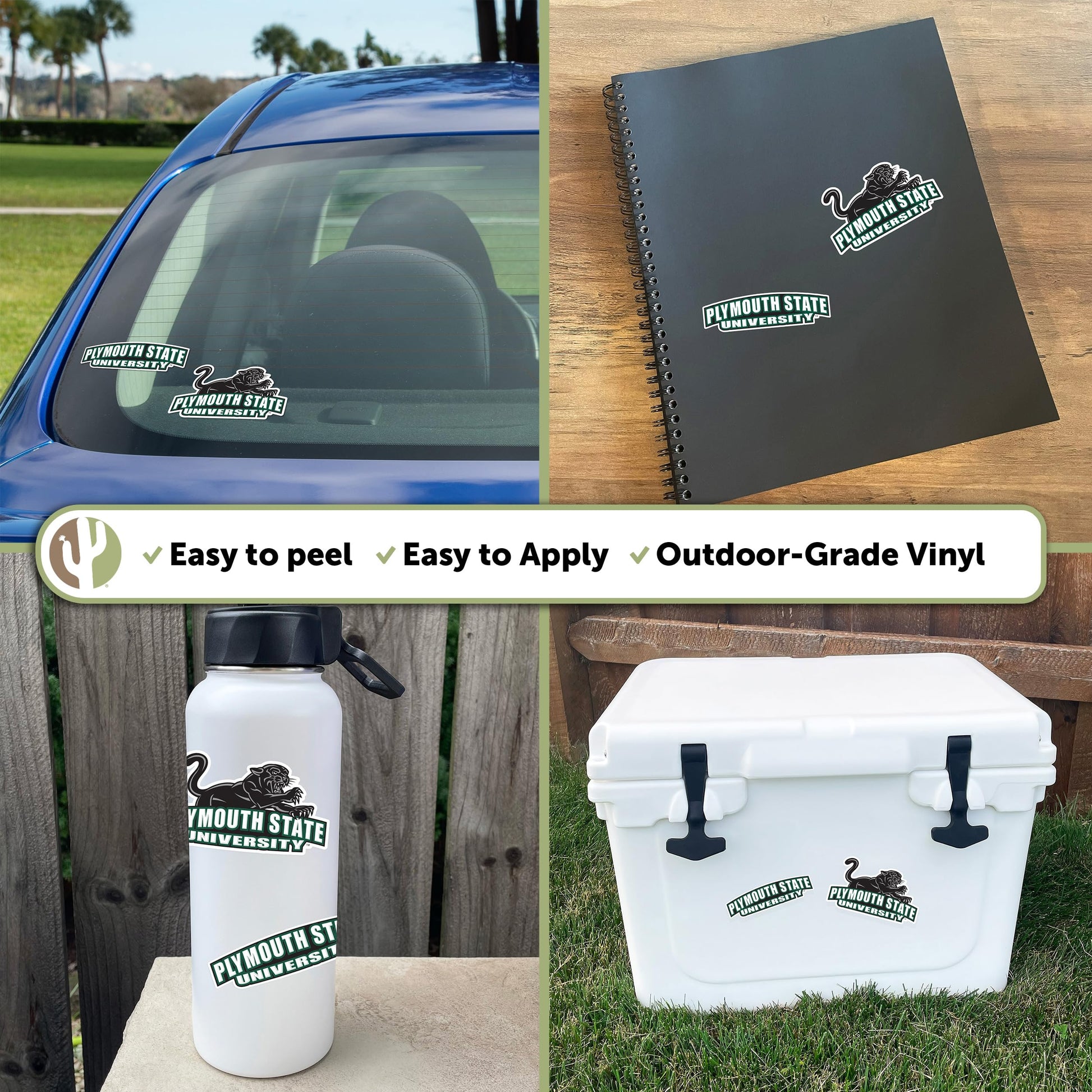 Desert Cactus Plymouth State University Sticker Panthers Vinyl Decal Laptop Water Bottle Car Scrapbook (4 Inch Set V1)