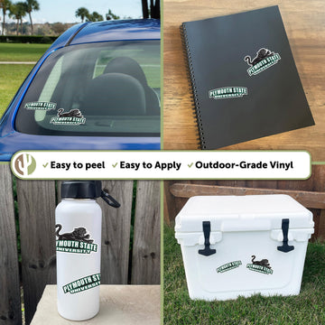 Desert Cactus Plymouth State University Sticker Panthers Vinyl Decal Laptop Water Bottle Car Scrapbook (4 Inch Set V1)