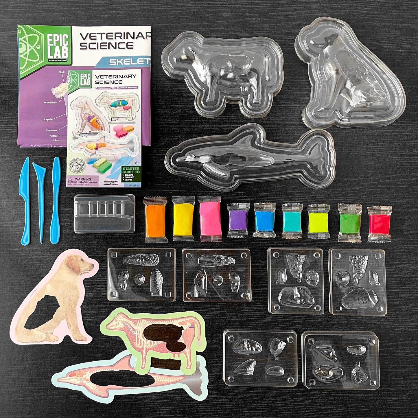 ArtSkills Vet Kit for Kids Animal Anatomy Veterinary Science Kit for Kids