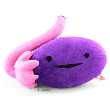 I Heart Guts Ovary Plush - 10" Cute Educational Organ Toy for PCOS, IVF & Oophorectomy - Funny Get Well Recovery Gift for OBGYN Nurse Patients