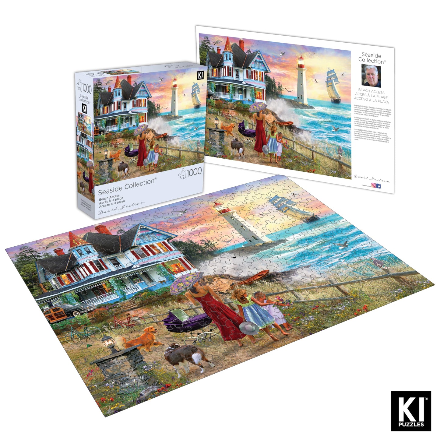 1000 Piece Puzzle for Adults David Maclean Picking Wildflowers Lighthouse Colorful Jigsaw 27x20