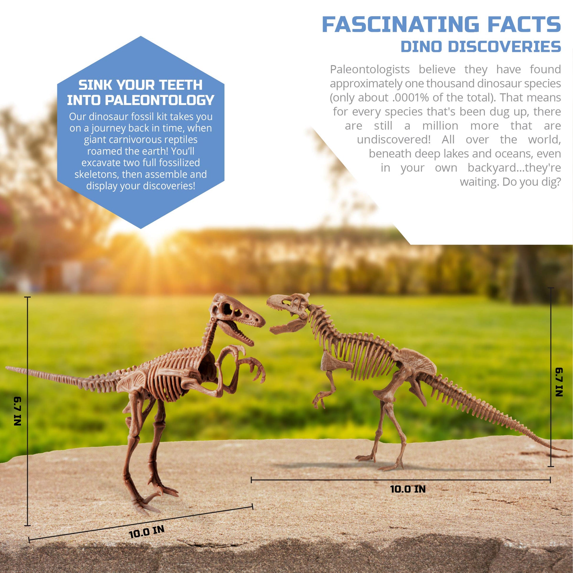 Discovery™ Dinosaur Fossil Dig Kit - Excavate & Assemble T-Rex & Velociraptor Skeletons| 3D Dino Bones Puzzles| Jurassic Paleontology Toy for Kids|