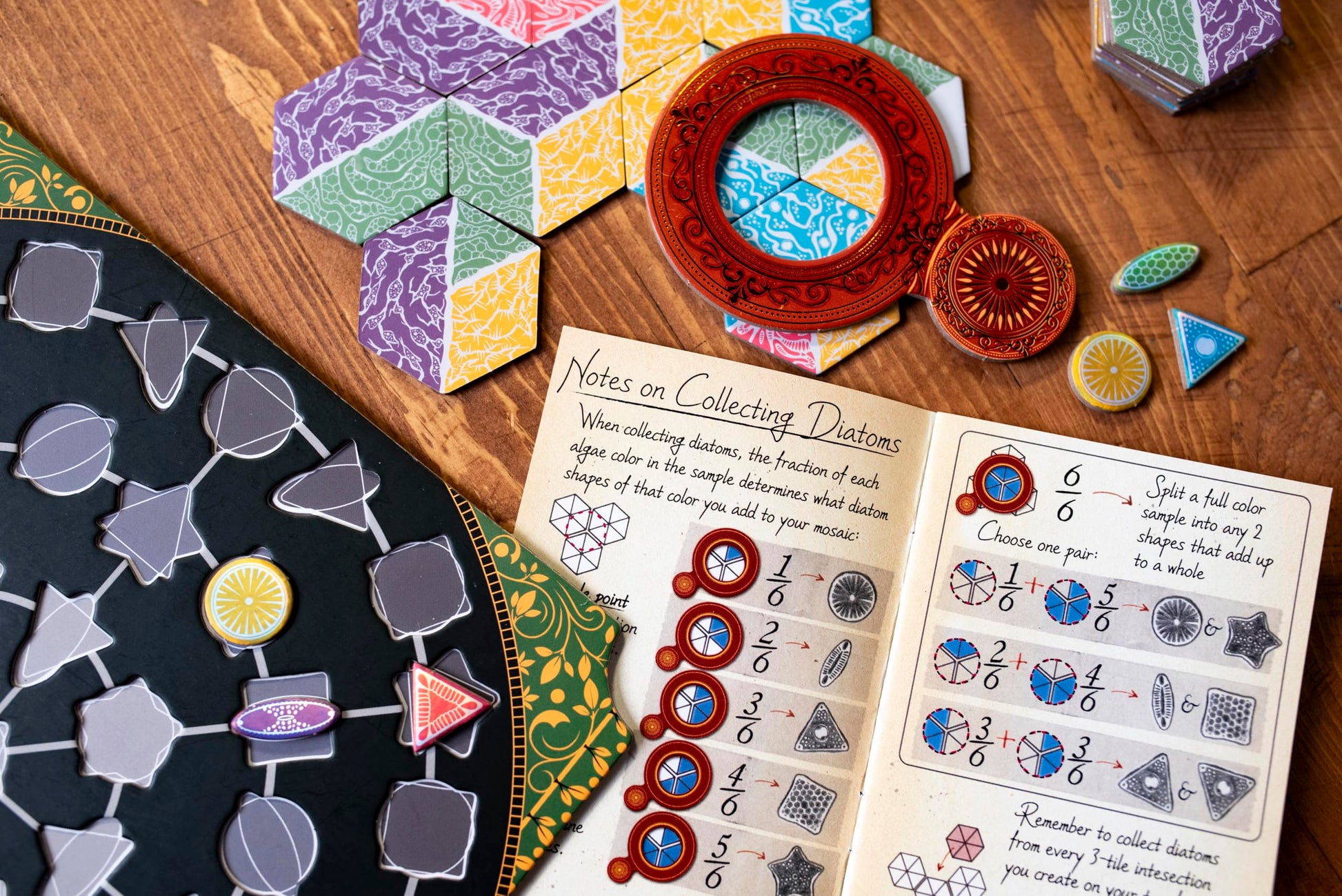 25th Century Games Diatoms Board Game - Artistic Tile Placement Strategy Game for 1-4 Players - Create Stunning Mosaics from Algae - Mensa Select