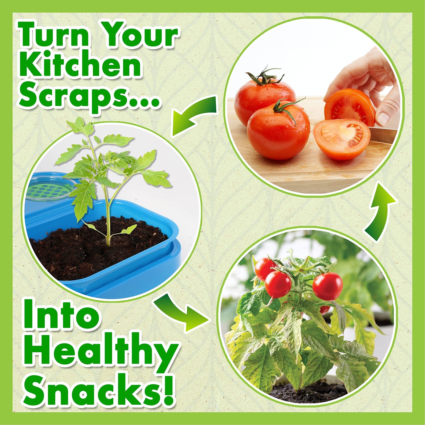 ReGrow Science Kit for Kids 8+ - Replant Simple Ingredients to Generate New Plants! 15+ Experiments - 12 Tools Included - Growing Kits for Kids Boys