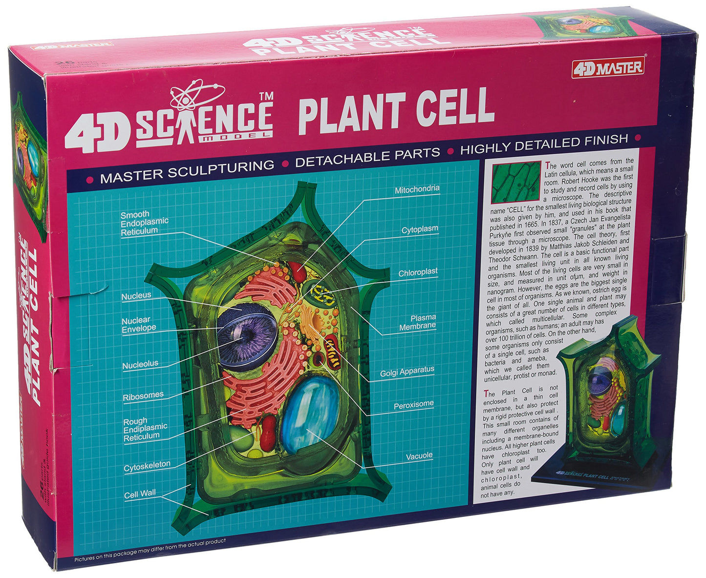 Famemaster 4D-Science Plant Cell Anatomy Model